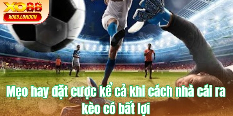 Mẹo hay đặt cược kể cả khi cách nhà cái ra kèo có bất lợi