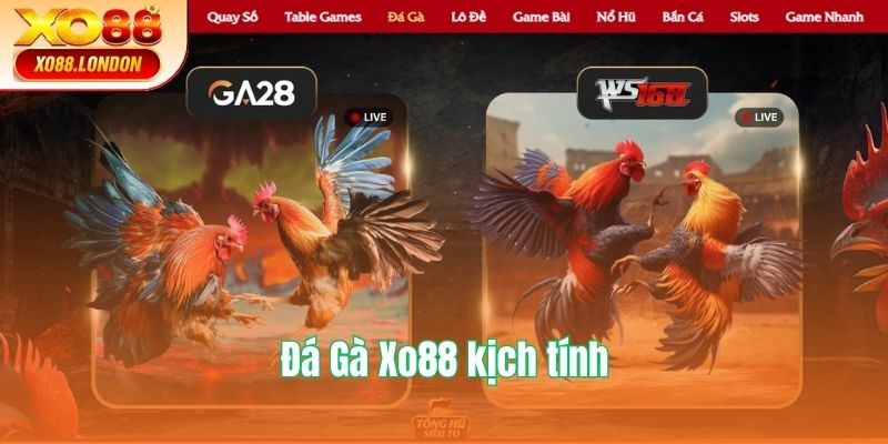 Đá Gà hấp dẫn với loạt trận chiến siêu kịch tính