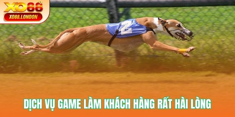 Dịch vụ game làm khách hàng rất hài lòng