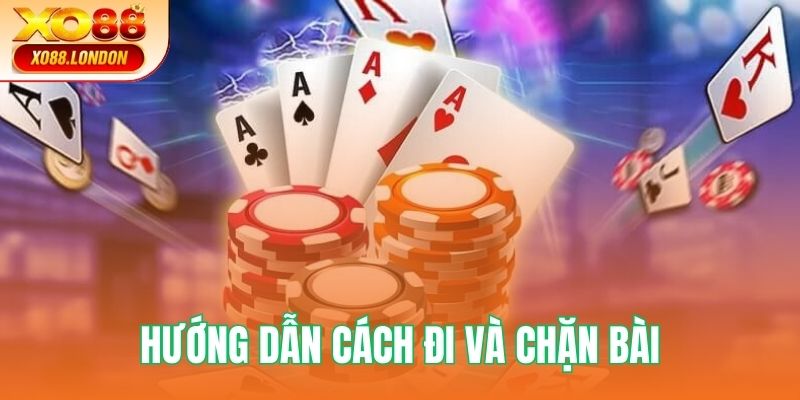 Hướng dẫn cách đi và chặn bài đúng luật