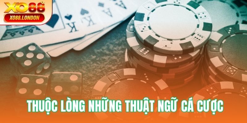 Nên thuộc lòng những thuật ngữ cá cược của game