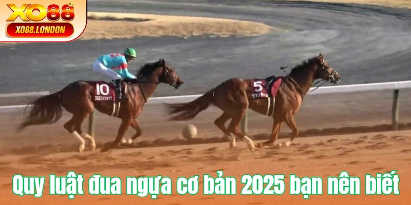 Quy luật đua ngựa cơ bản 2025 bạn nên biết