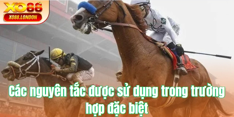 Các nguyên tắc được sử dụng trong trường hợp đặc biệt