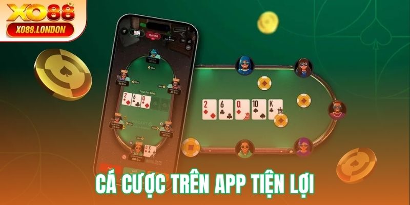 Tải app XO88 cược tiện lợi