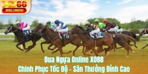 Đua Ngựa Online XO88
